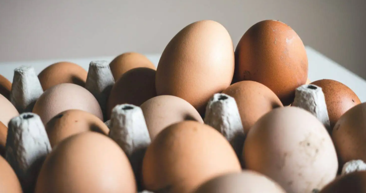 Grosir Telur Sunggal